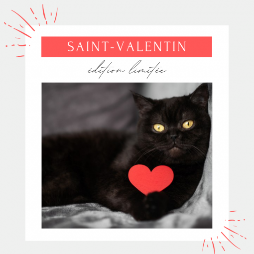 Box Saint Valentin Pour Chat 100 Naturelle La Box Naturelle