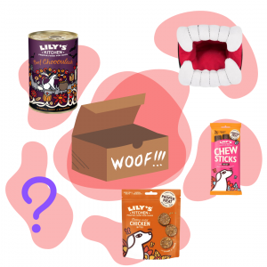 Box d'Halloween pour chien